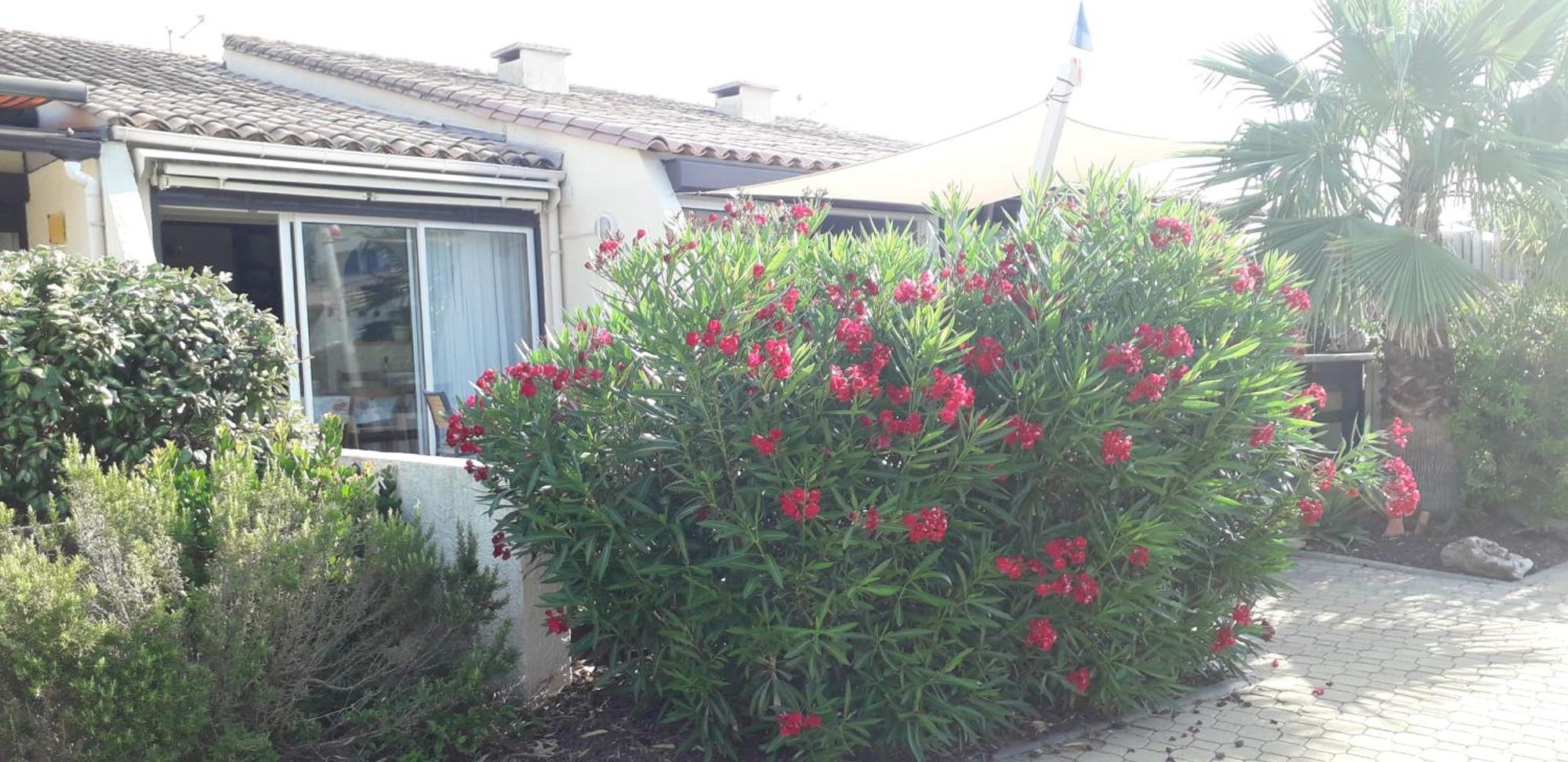 Naturiste Cap D'Agde Villa Heliovillage 58 Extérieur photo